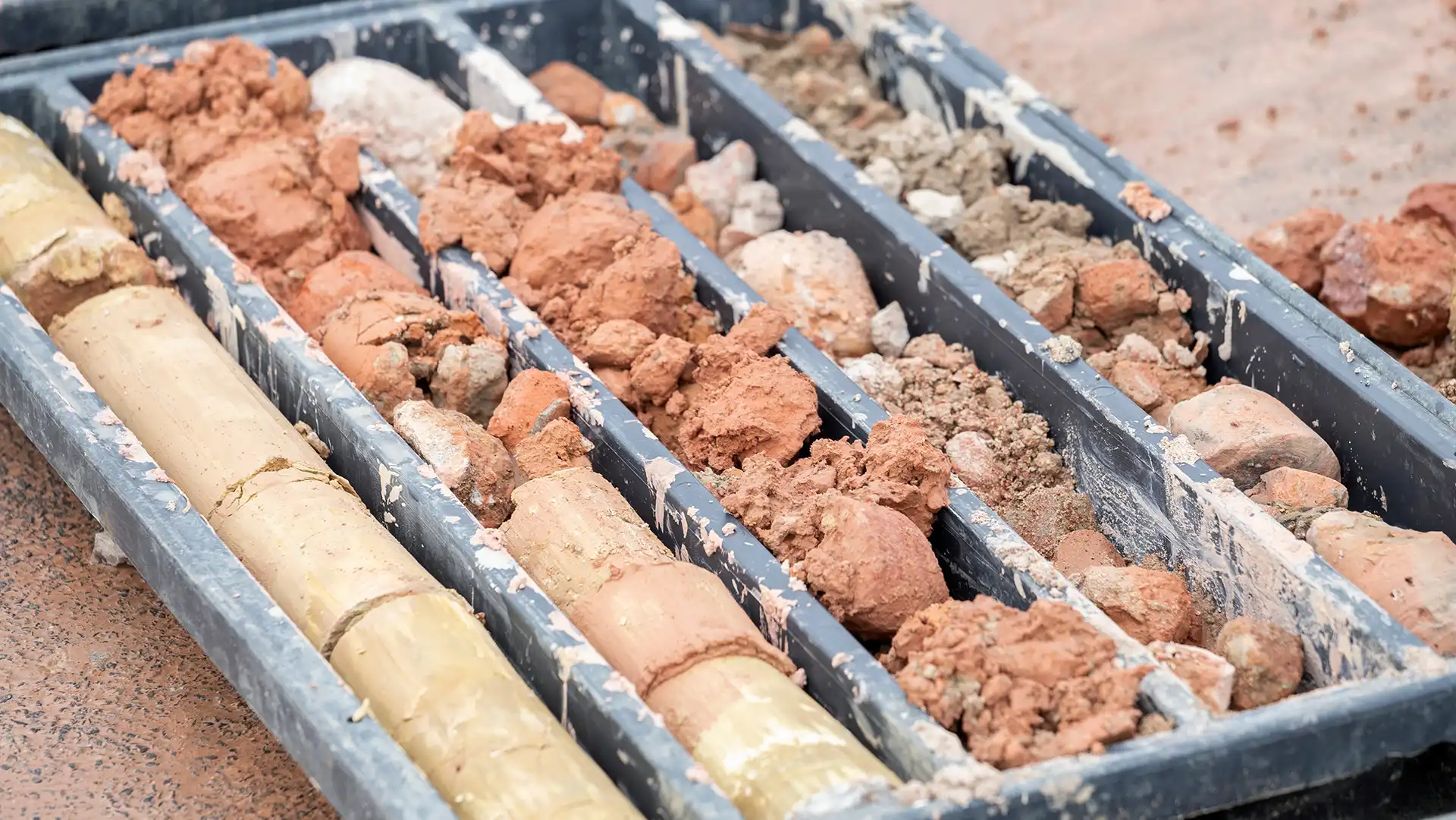 Close up of soil samples for testing